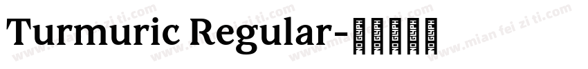 Turmuric Regular字体转换